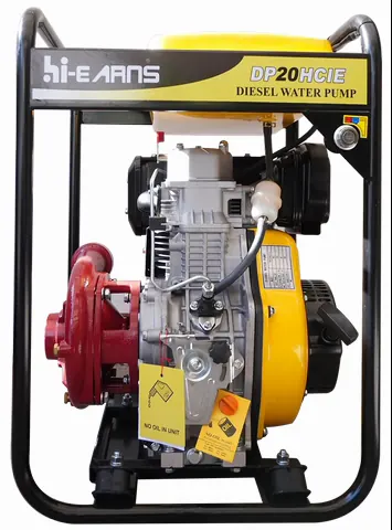 DP20HCI — Hi-Earns